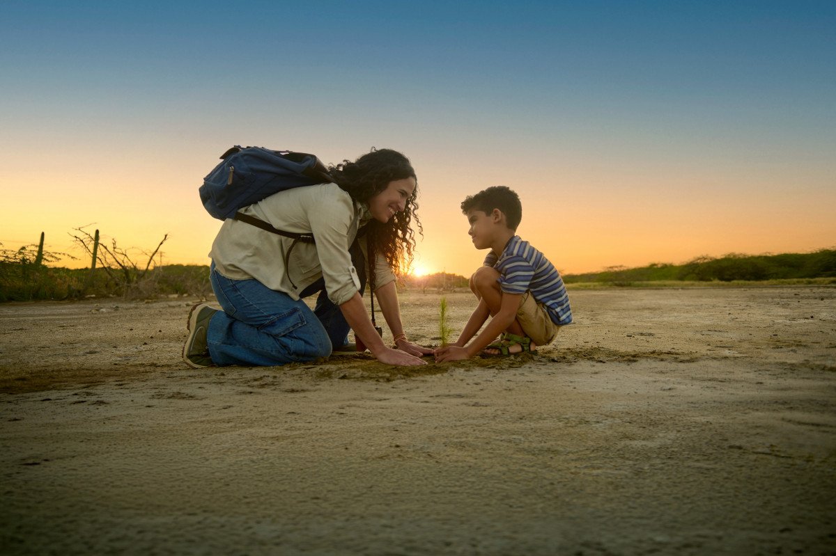 DSC 4044 [PRINCIPAL]