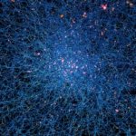 El clítoris es más grande de lo que parece y por fin tenemos un mapa 3D de todos sus nervios