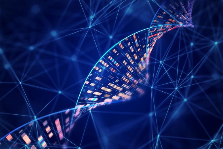 Genoma IA 2158552363