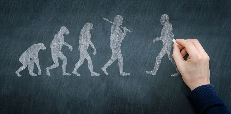 Cadena evolutiva sapiens se encuentra con otro especimen
