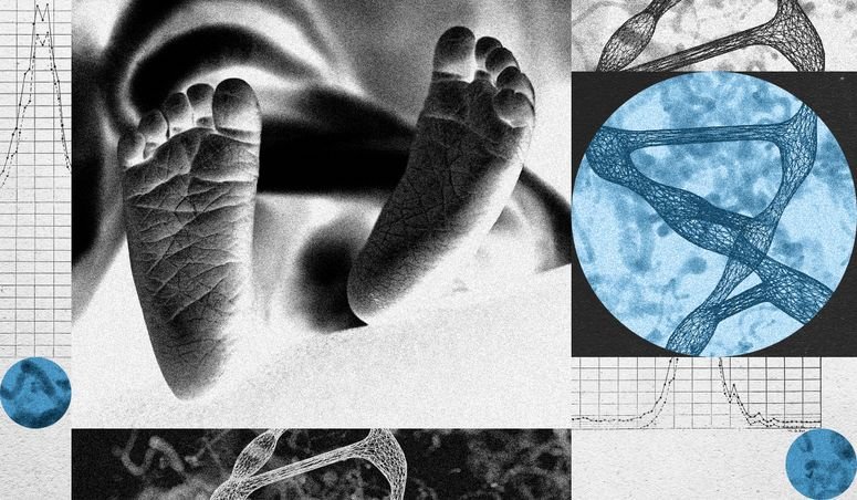 Ilustración con pies de bebé y ADN