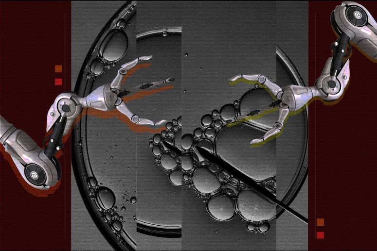 fertilización in vitro IA
