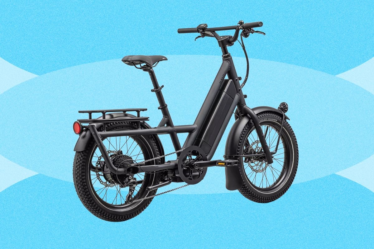 Bicicleta elctrica