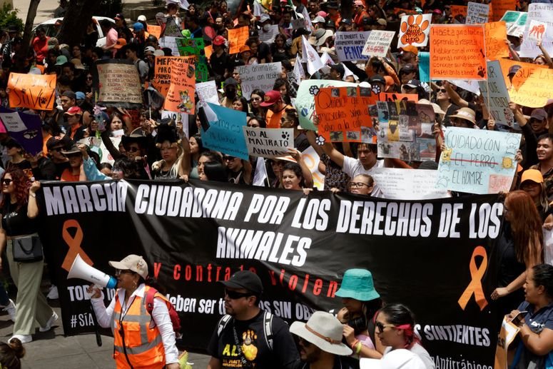 reforma protección de los animales México