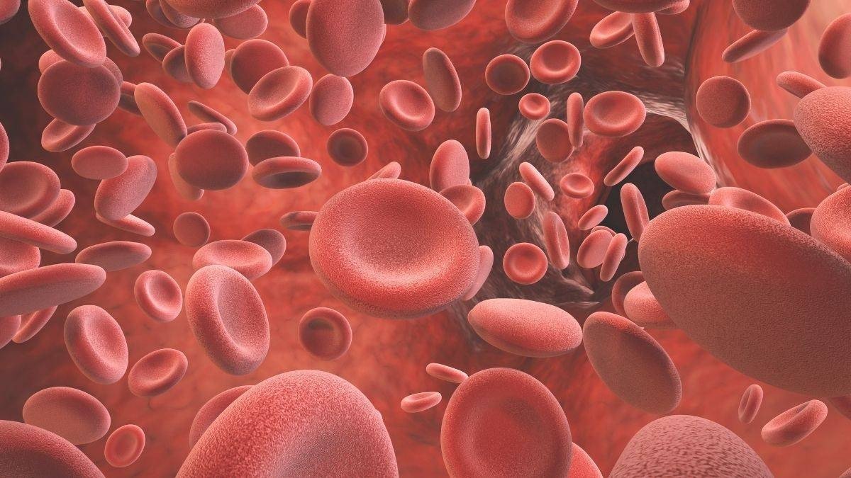 Articulos 183725 1200x675