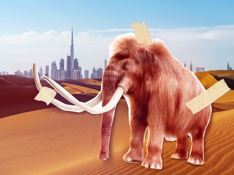 Mamut con cinta adhesiva y ciudad al fondo