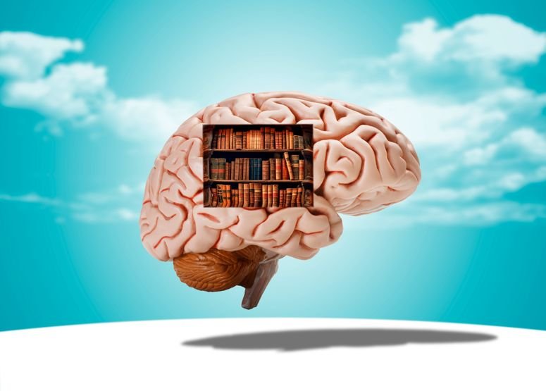 Cerebro humano con una estantería llena de libros en su interior.