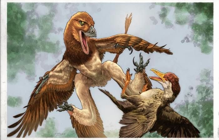 A la izquierda se encuentra el nuevo dinosaurio microraptor Jian changmaensis.