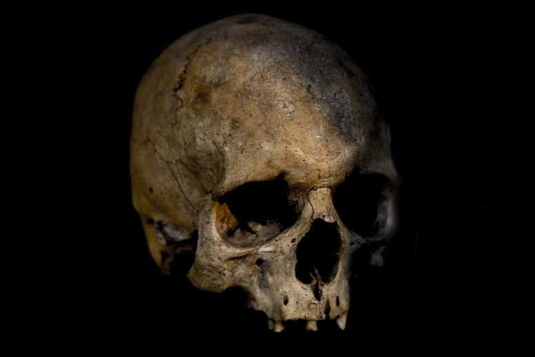 Estudio del material genético de humanos prehispánicos.