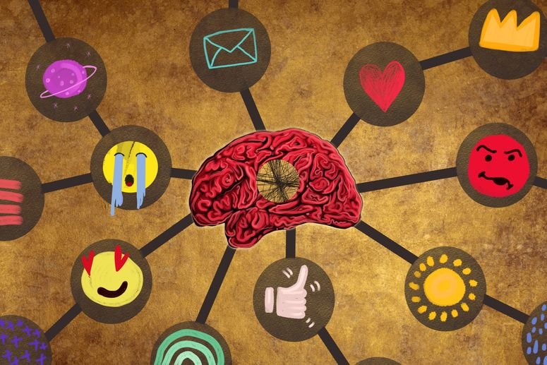 cerebro redes sociales 1449159014