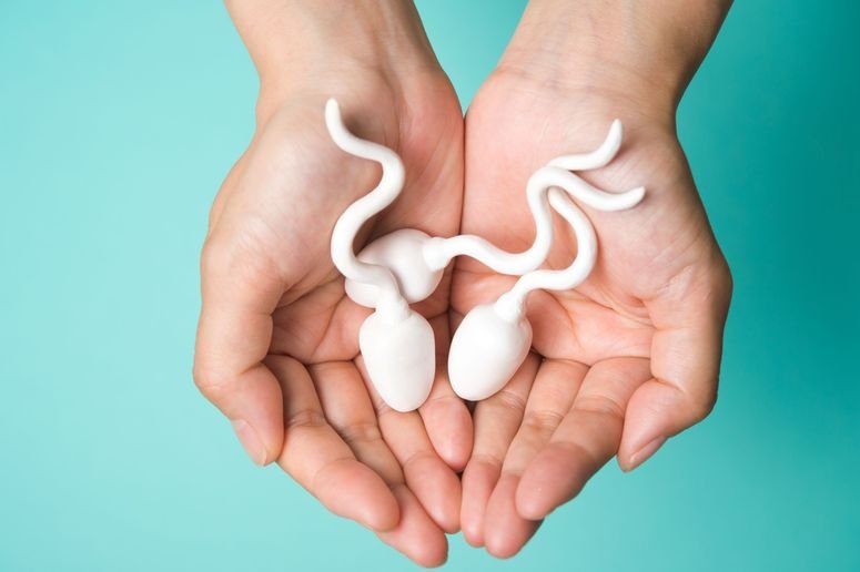fertilidad cáncer niños tejido testicular congelado 824853668