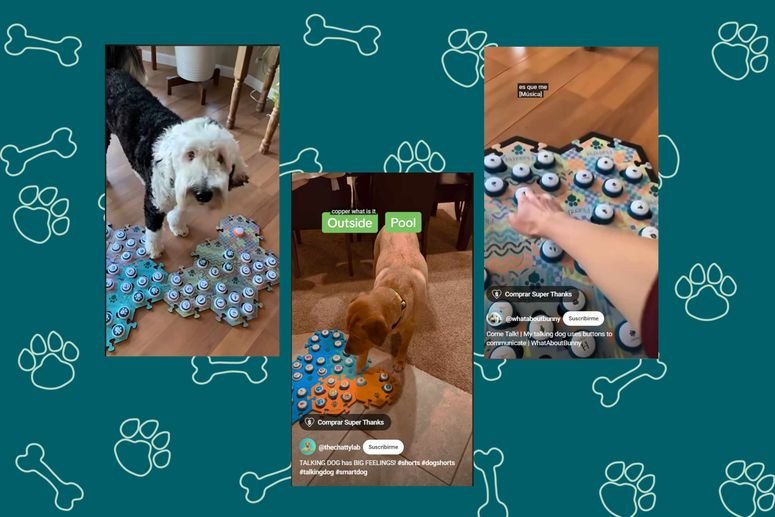 Perros virales que presionan botones para hablar.