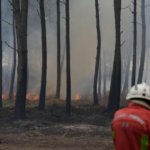 George Clooney y su familia evacúan su casa en Francia debido a los incendios forestales