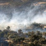 Incendios en Grecia: orden de evacuación cerca de Atenas; Creta, en medio de las llamas