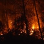 Los incendios forestales obligan a nuevas evacuaciones en Francia y Grecia