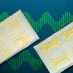 Científicos convierten bacterias en transistores y crean circuitos vivos