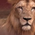 Cuba: animales del zoológico luchan por sobrevivir en medio de la crisis