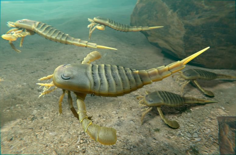 Una ilustración de euriptéridos (escorpiones marinos) nadando en el fondo marino del período Silúrico hace 418 millones de años. 