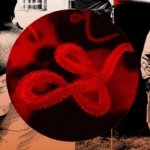 "Esto es lo que más me ha asustado desde el covid", señala experta sobre el brote de ébola