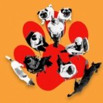 “Hoy odio a mi perro”: el grupo de apoyo para dueños que a veces no pueden más