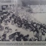 Los Caimanes del Sur: franquicia que representó el sur en Lidom
