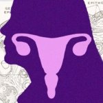 Los ovarios siguen activos después de la menopausia y la ciencia quiere saber por qué