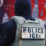 The Deportation Project: revelaciones sobre las deportaciones masivas de la Administración Trump