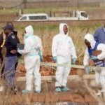 Violencia en Sudáfrica: nueve feminicidios en serie preocupan a la población