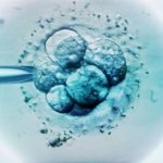 El ADN de bebés concebidos in vitro tiene una peculiar firma genética